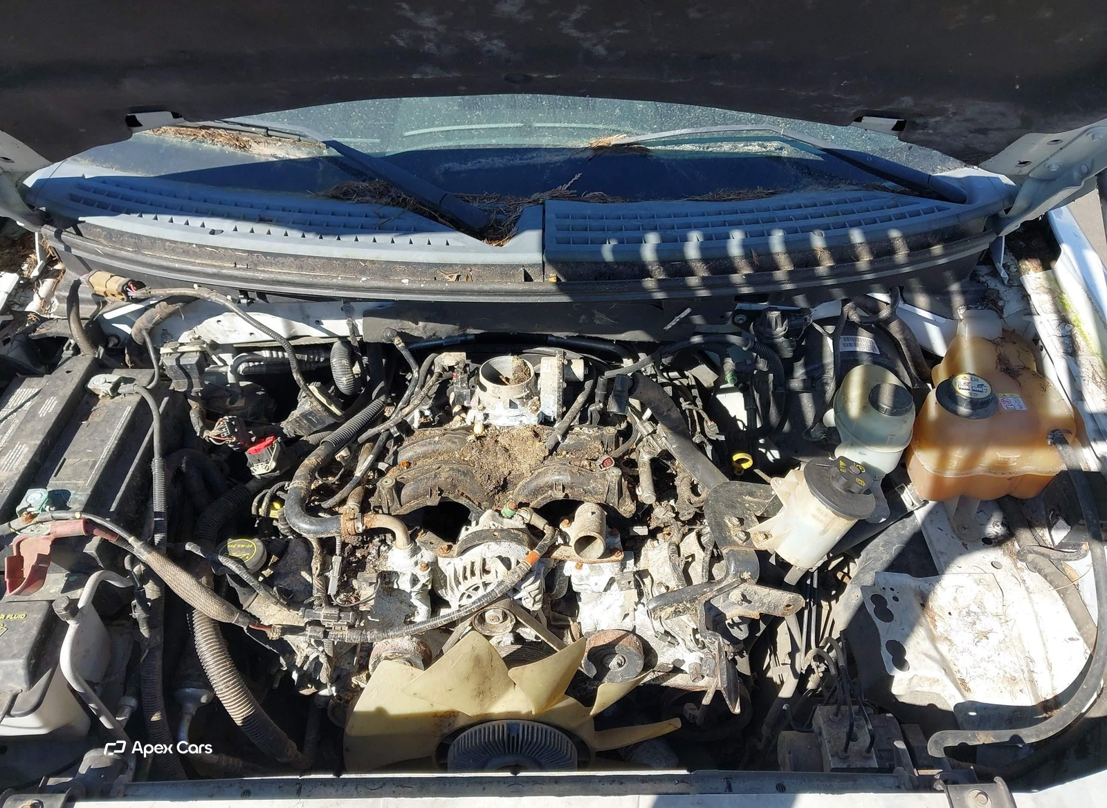 Lincoln Mark LT 2006