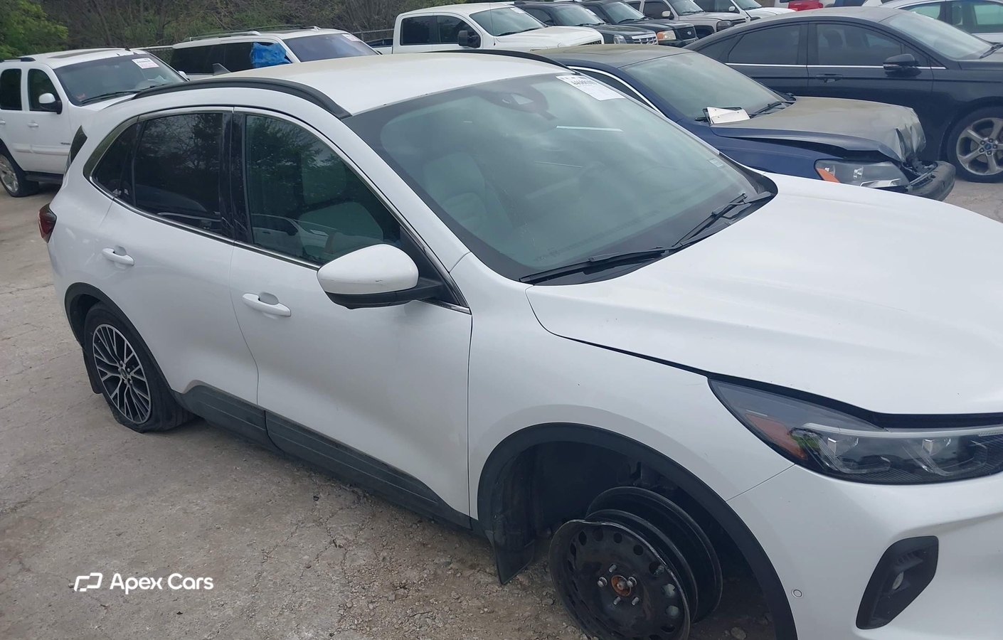 Ford Escape 2023