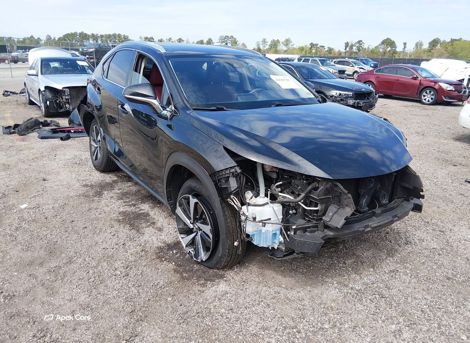 Lexus NX 2021