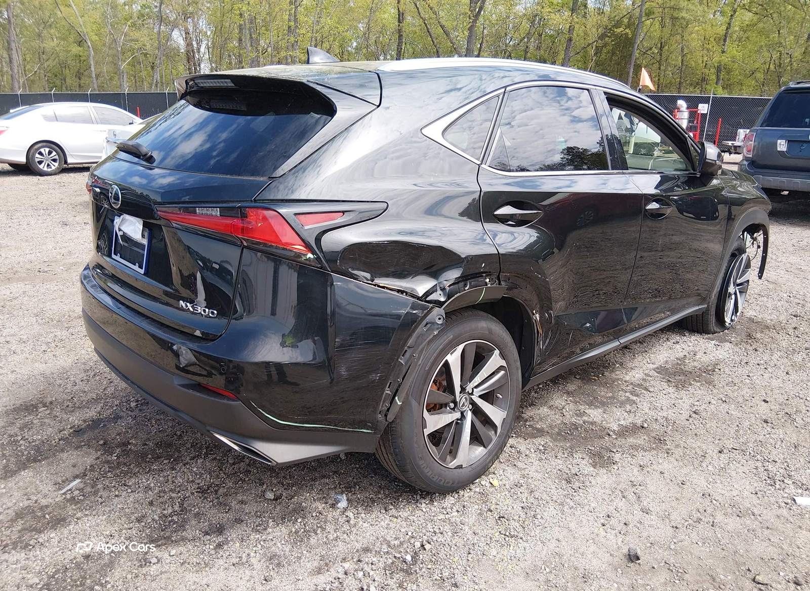 Lexus NX 2021