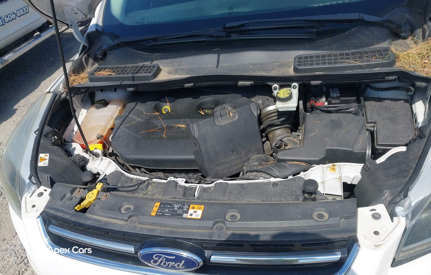 Ford Escape 2015