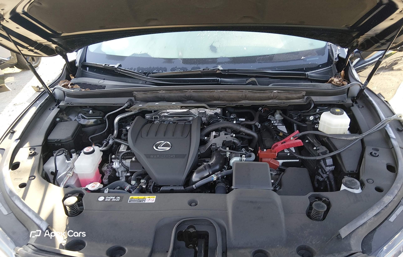 Lexus RX 2024