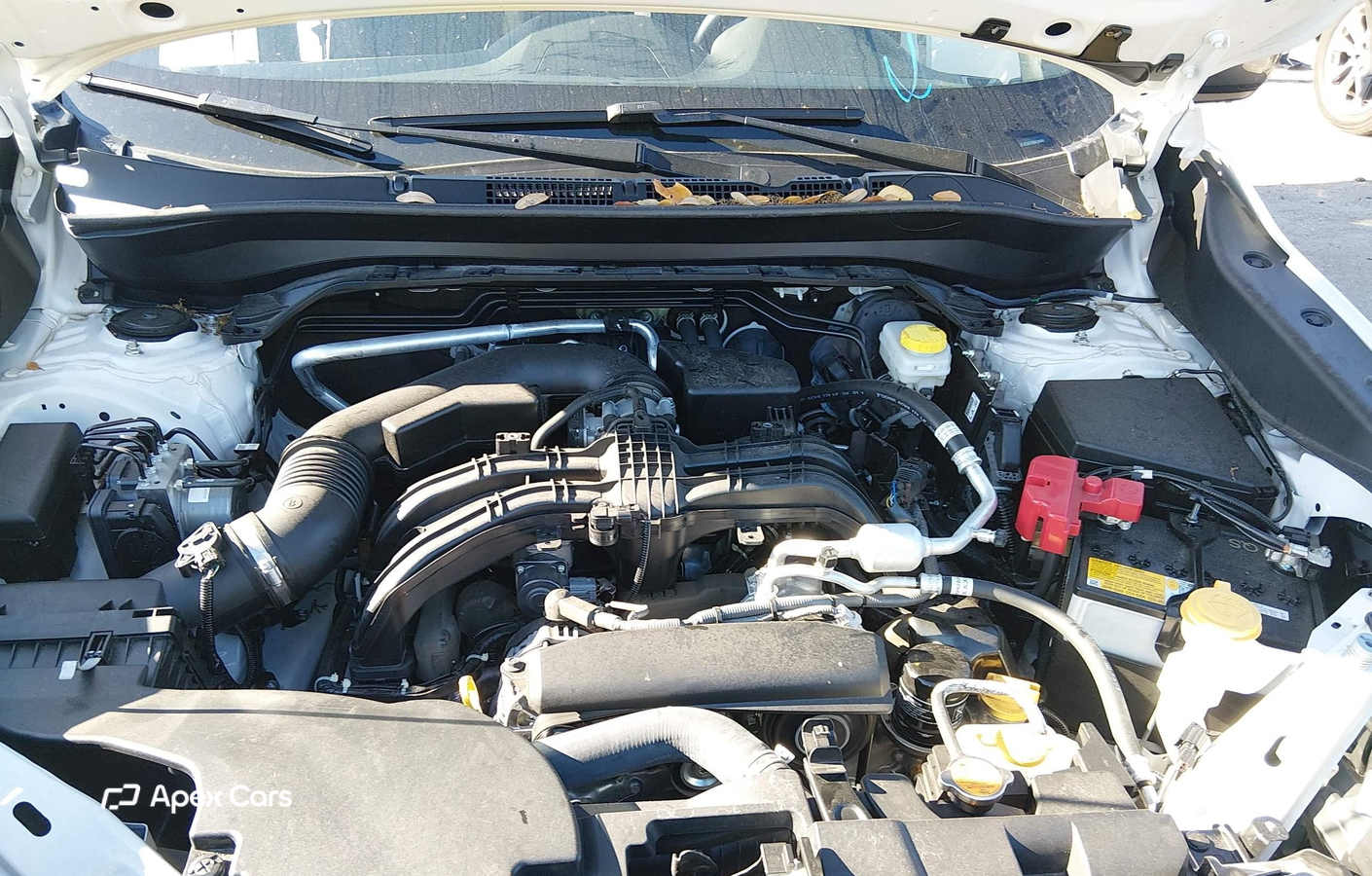 Subaru Forester 2025