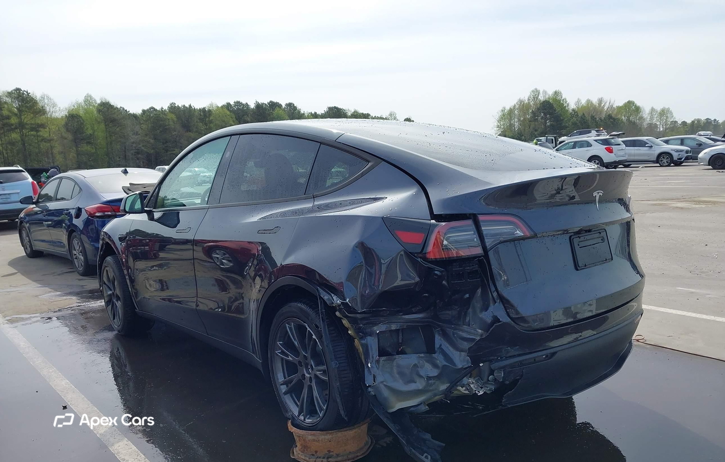 Tesla Model Y 2024