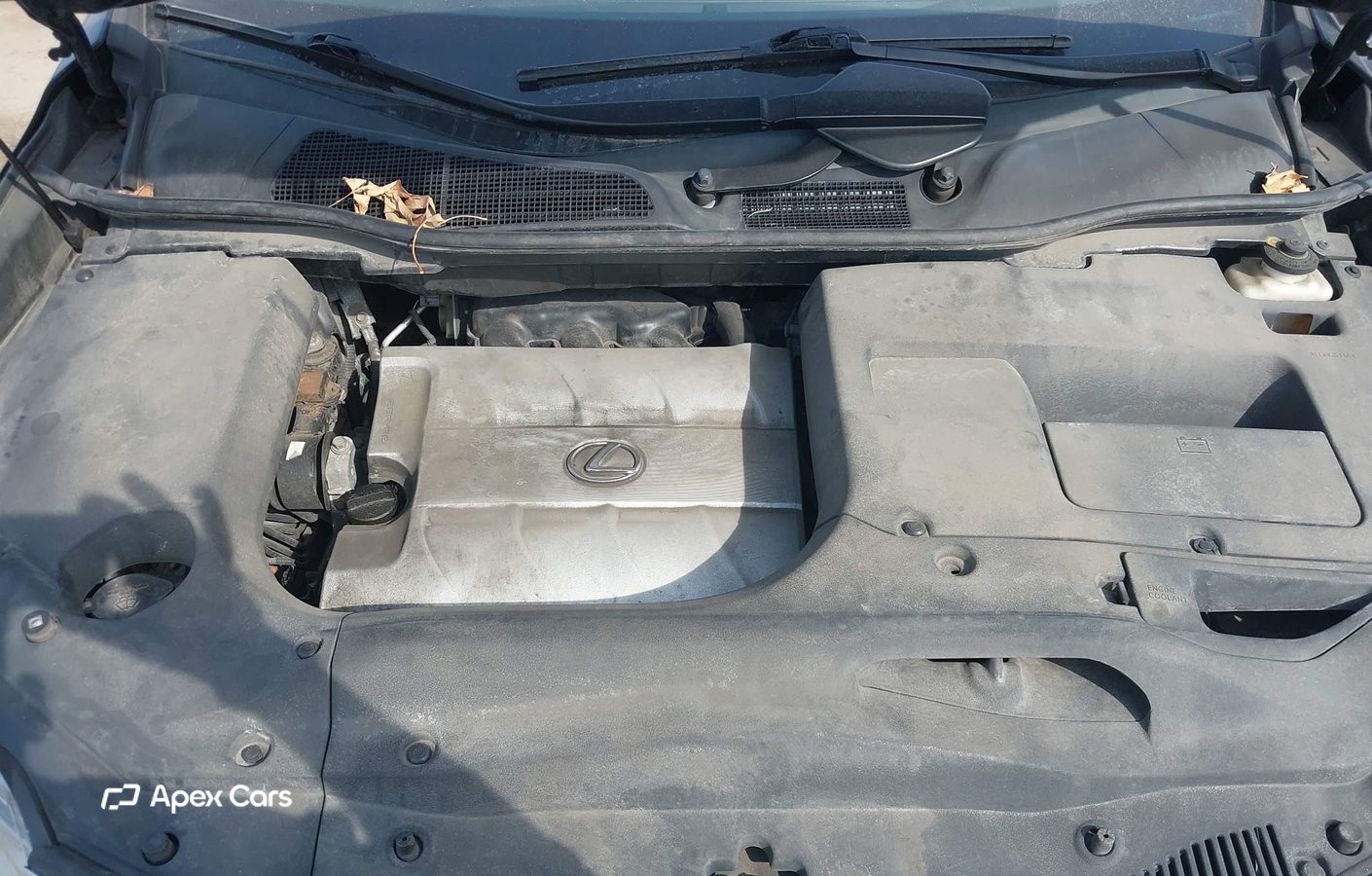 Lexus RX 2010