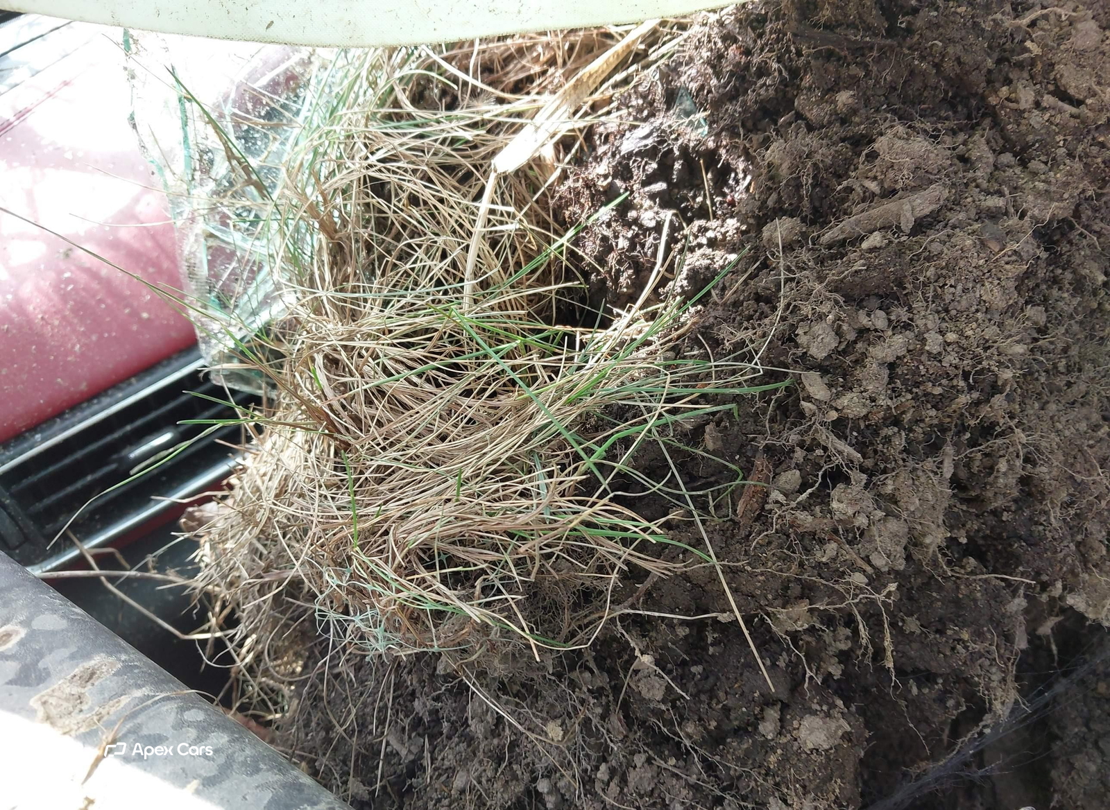 Maserati Levante 2019