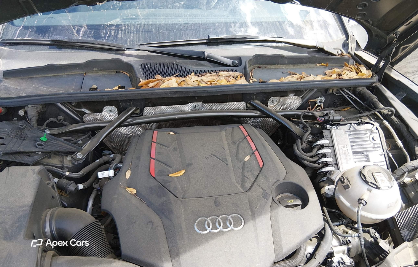 Audi SQ5 2023