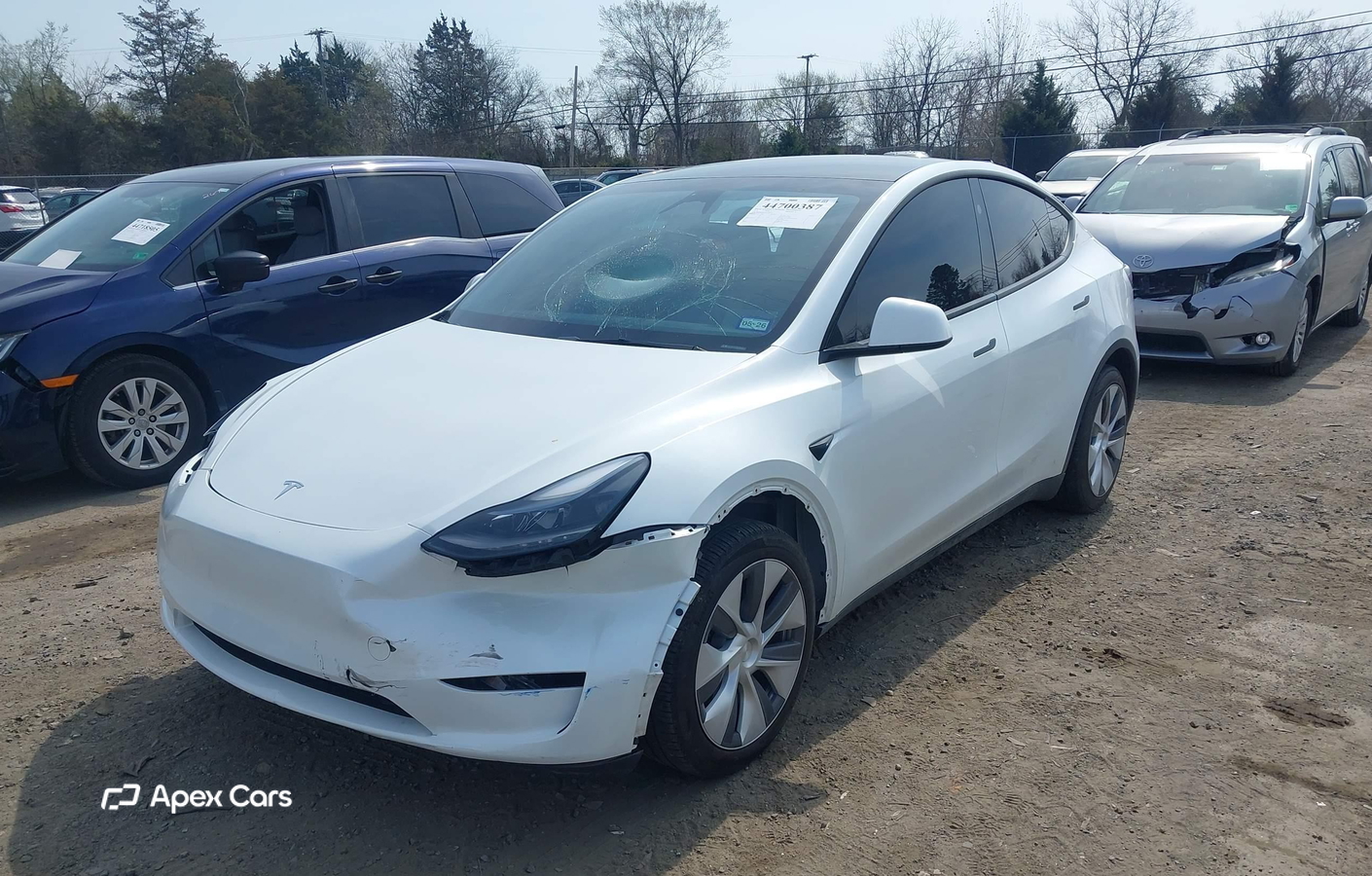 Tesla Model Y 2024