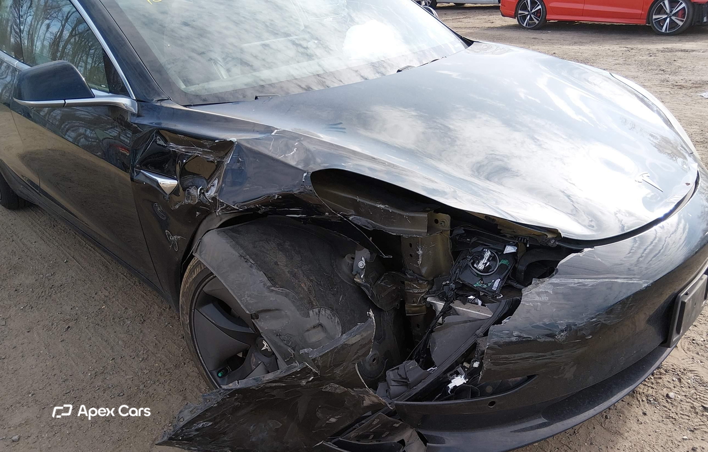 Tesla Model 3 2019