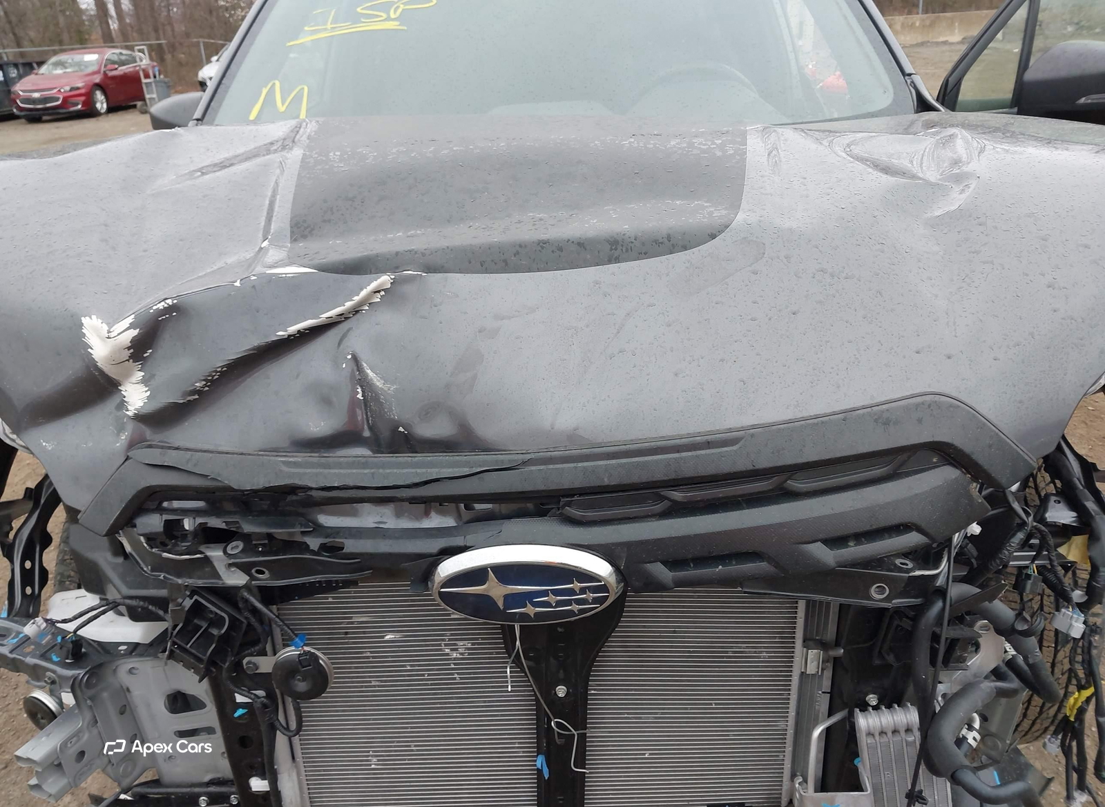 Subaru Forester 2024