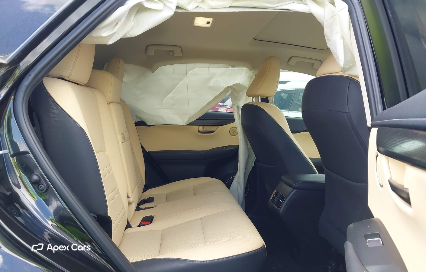 Lexus NX 2019