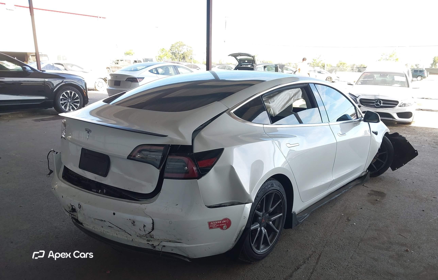 Tesla Model 3 2019