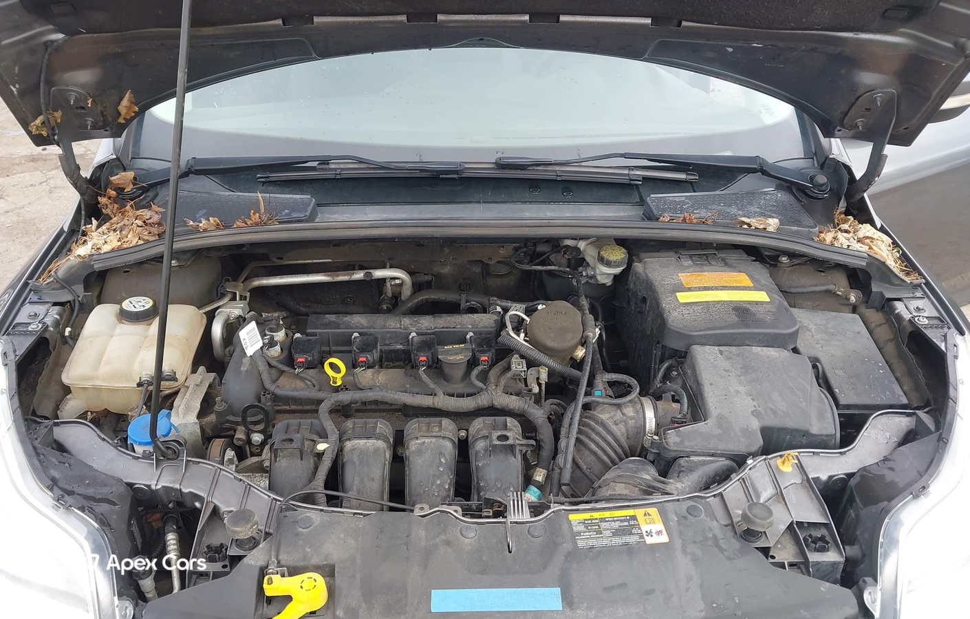 Ford Focus 2013