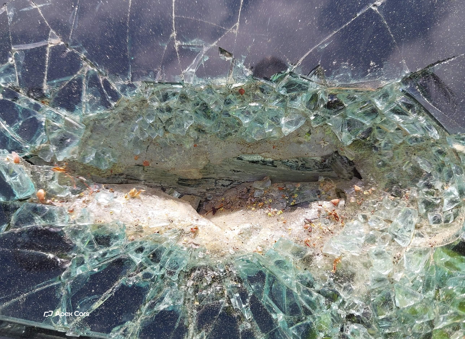 Dodge Challenger 2021