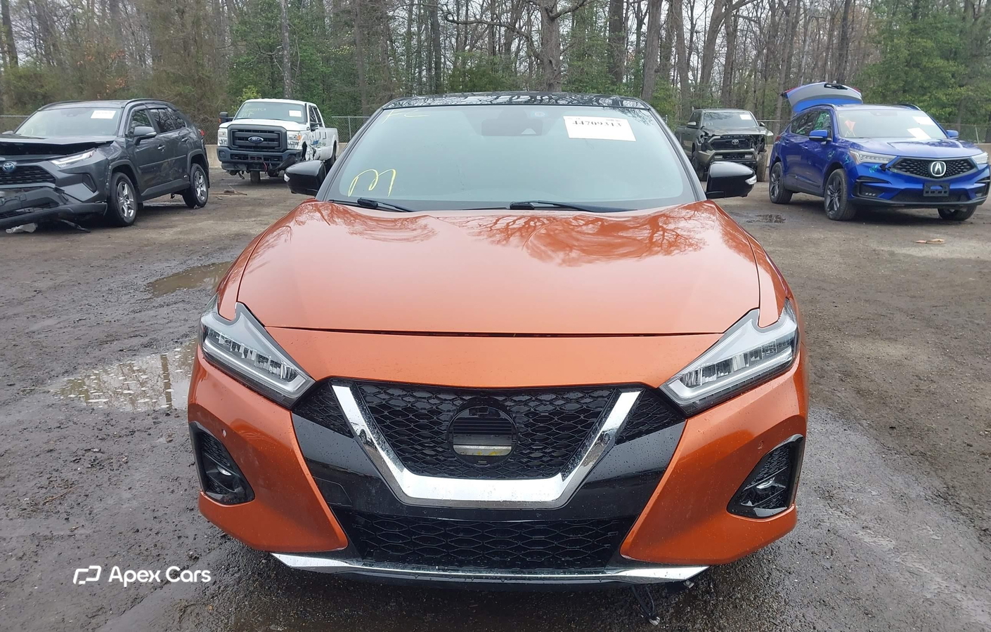 Nissan Maxima 2019