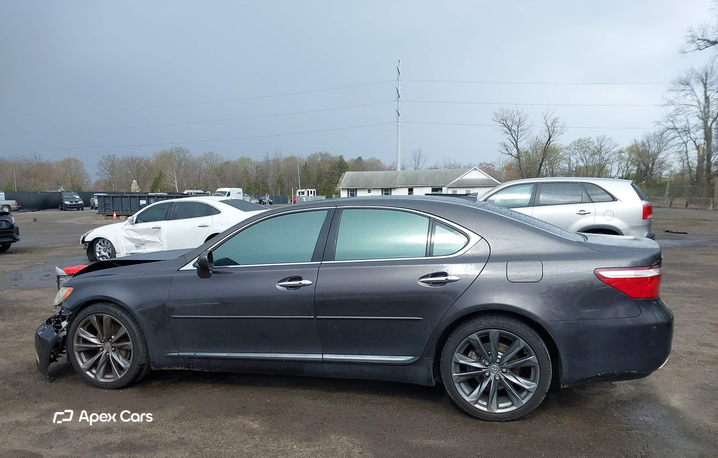 Lexus LS 2008