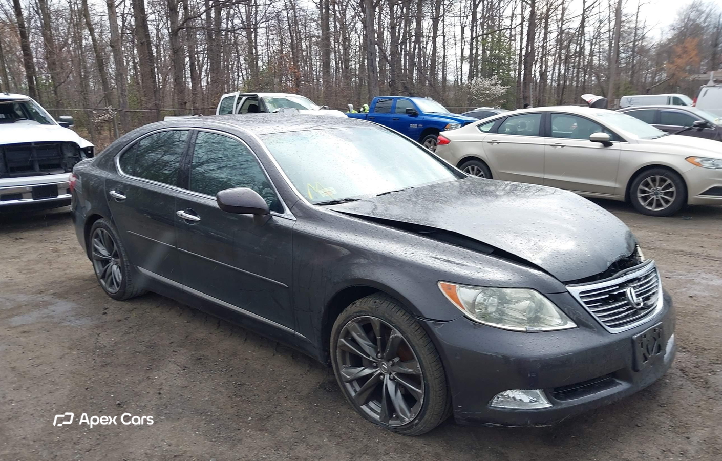Lexus LS 2008