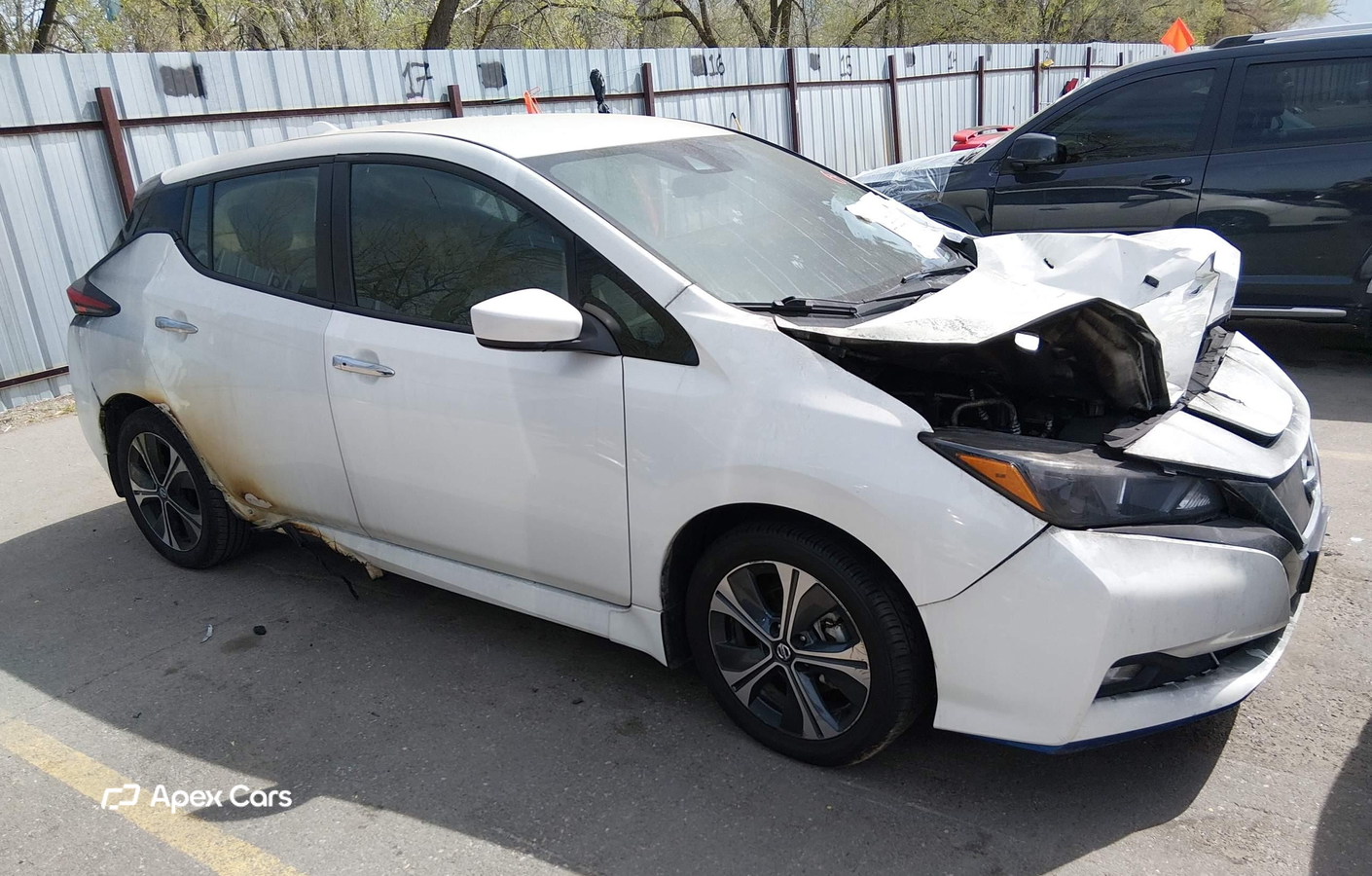 Nissan Leaf 2020