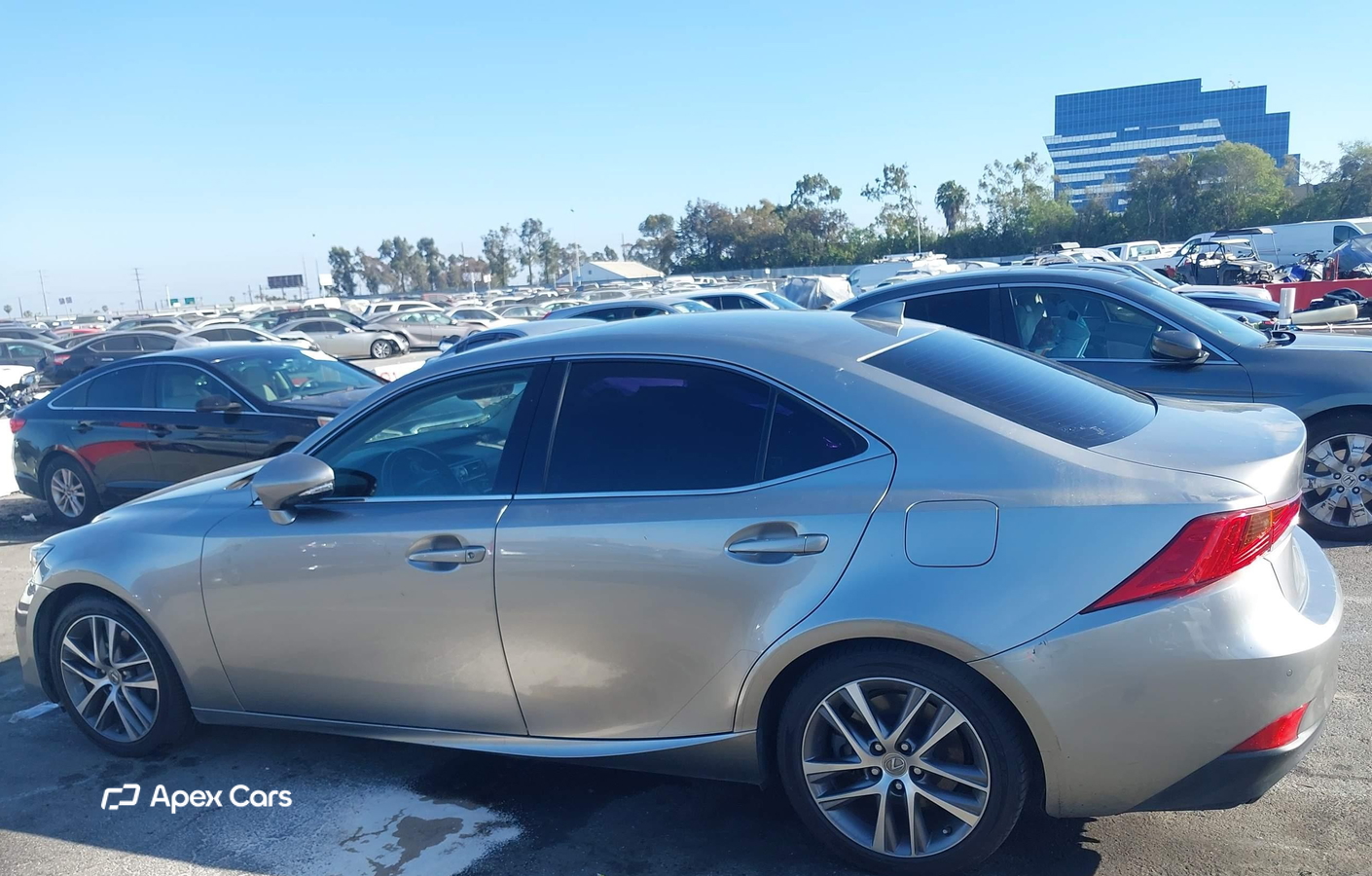Lexus IS 2020