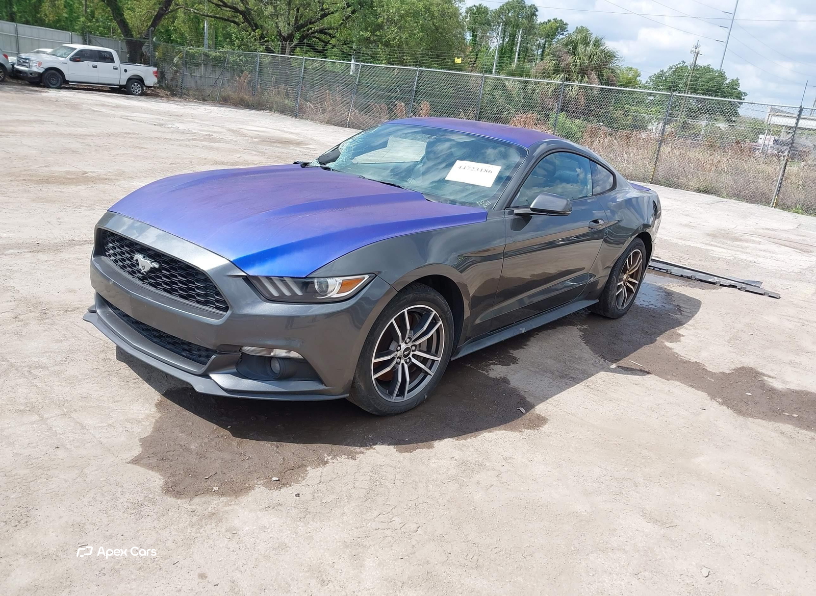 Ford Mustang 2015