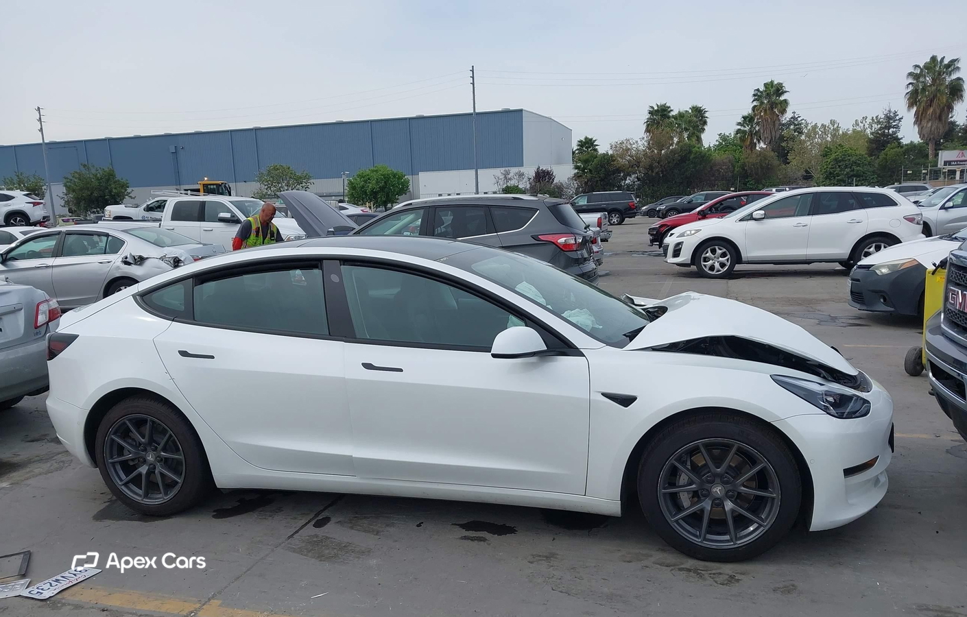 Tesla Model 3 2021