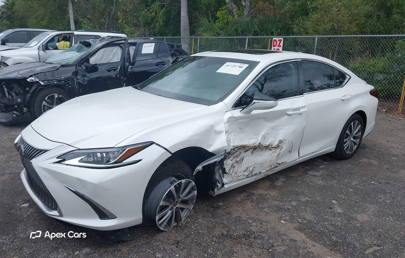 Lexus ES 2020