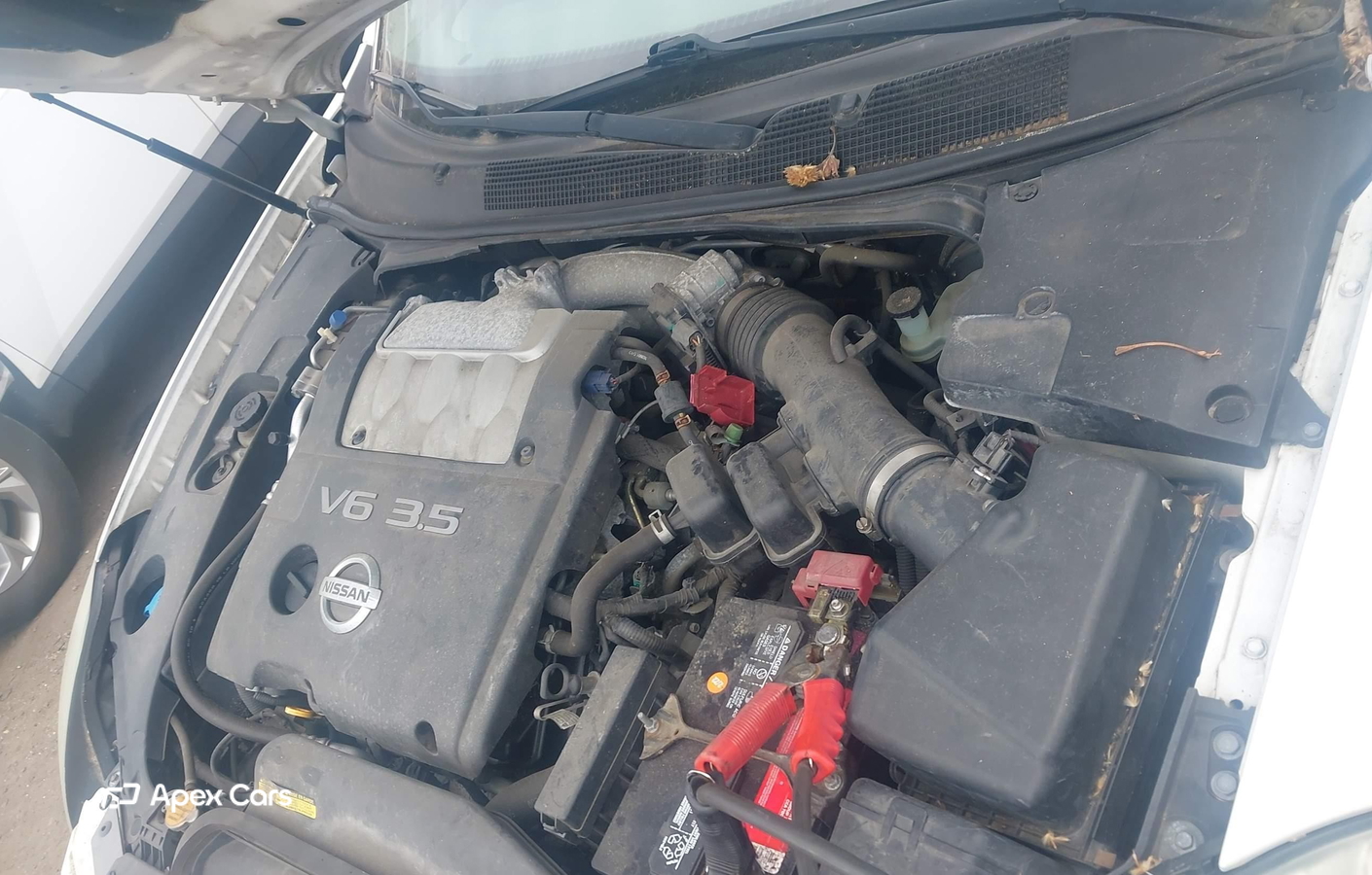 Nissan Maxima 2004