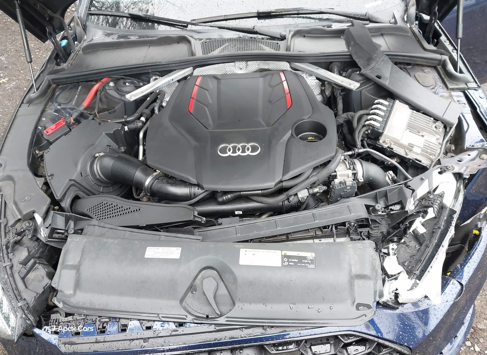 Audi S4 2021