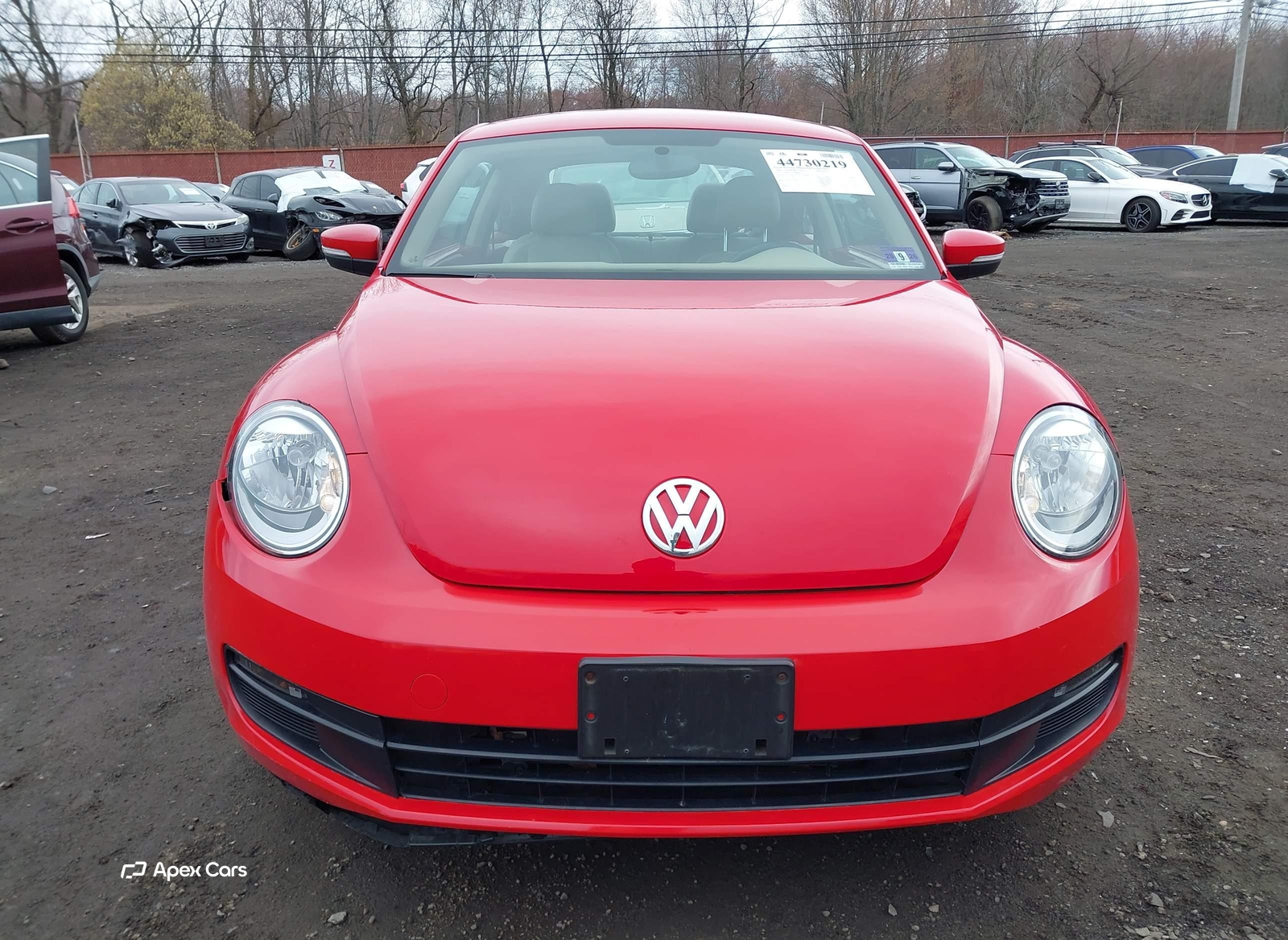 Volkswagen Beetle 2014