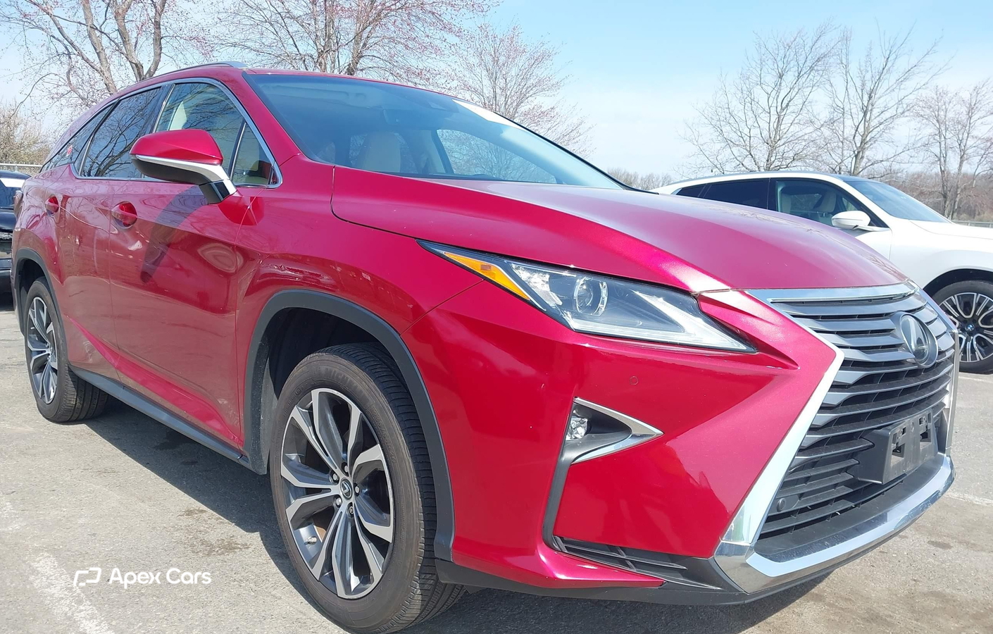 Lexus RX 2019