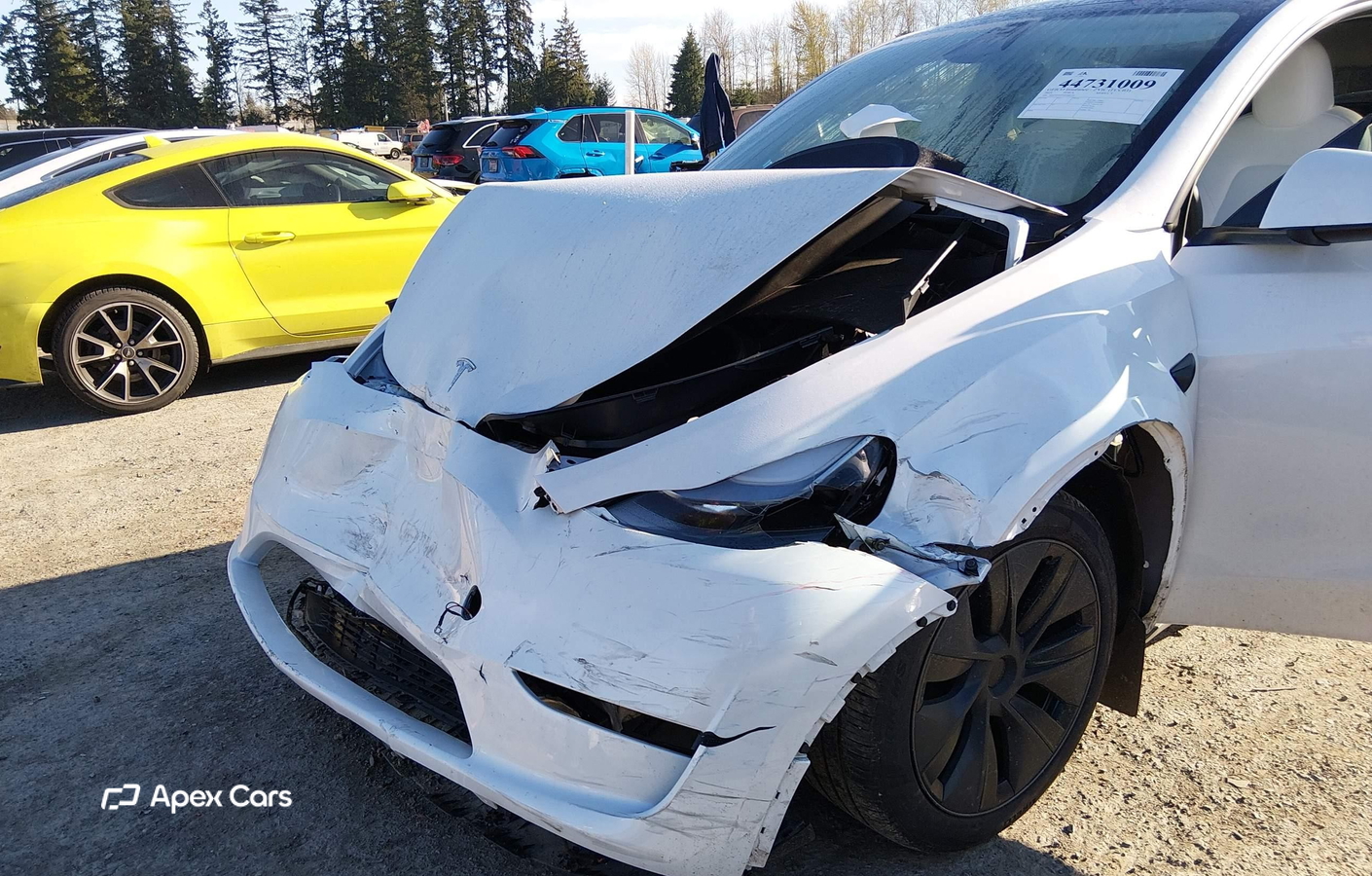 Tesla Model Y 2025
