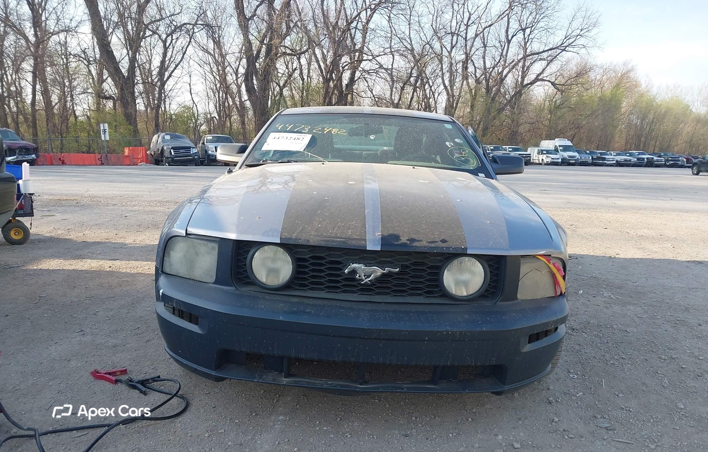 Ford Mustang 2006
