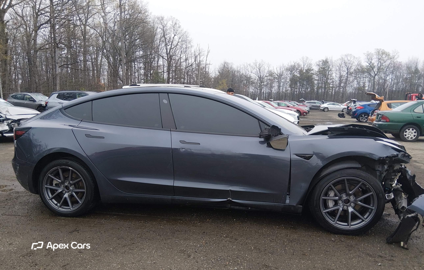 Tesla Model 3 2022