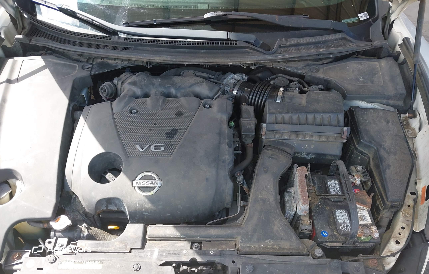 Nissan Maxima 2012