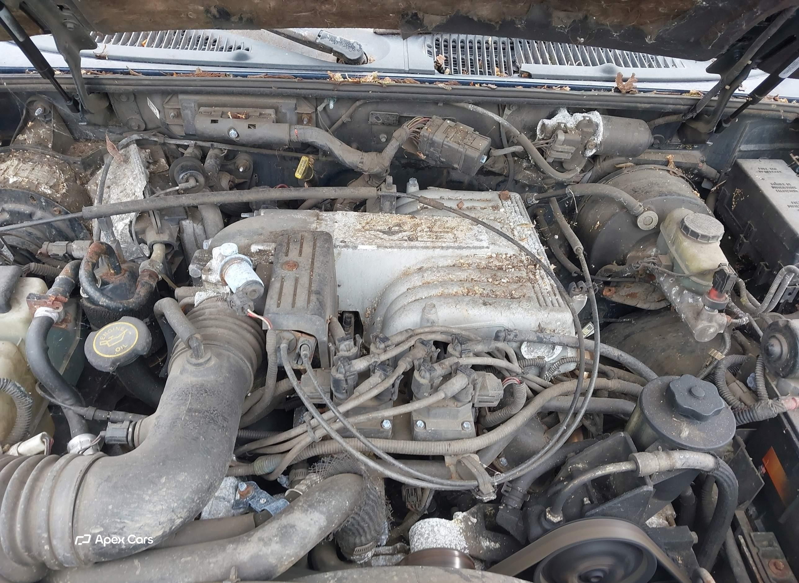 Mercury Mountaineer 1997