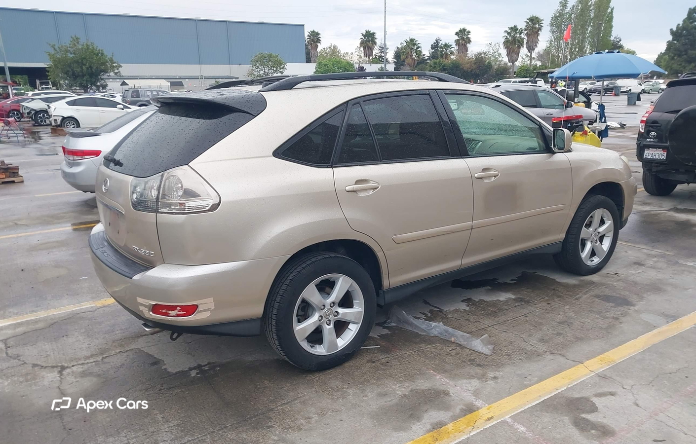 Lexus RX 2004