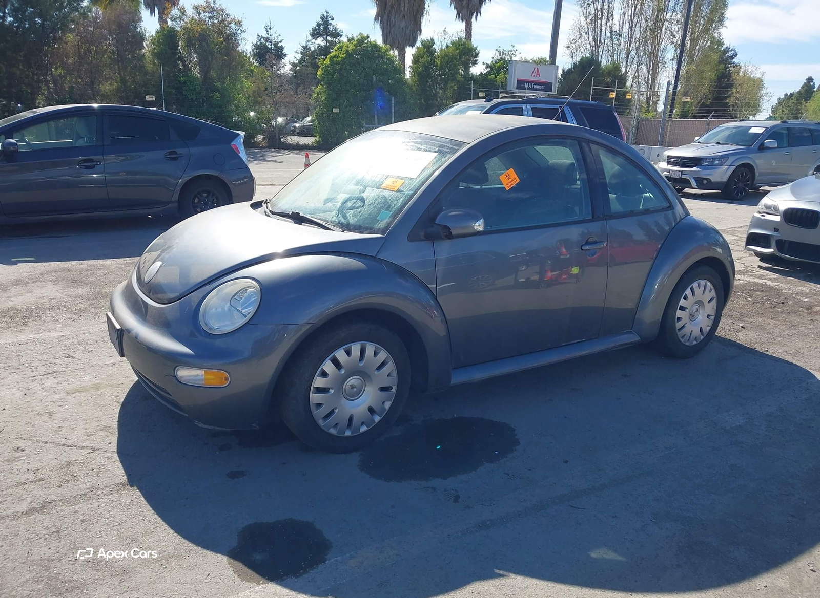 Volkswagen Beetle 2004