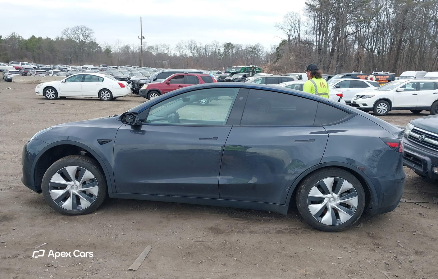 Tesla Model Y 2024