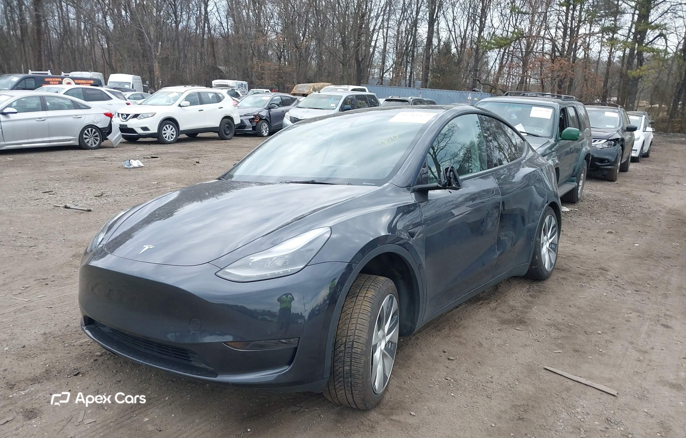 Tesla Model Y 2024
