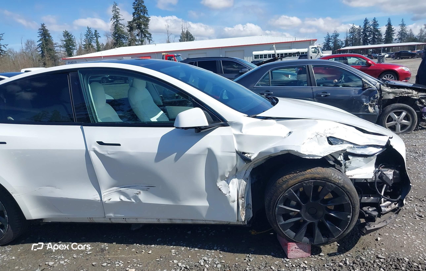Tesla Model Y 2021
