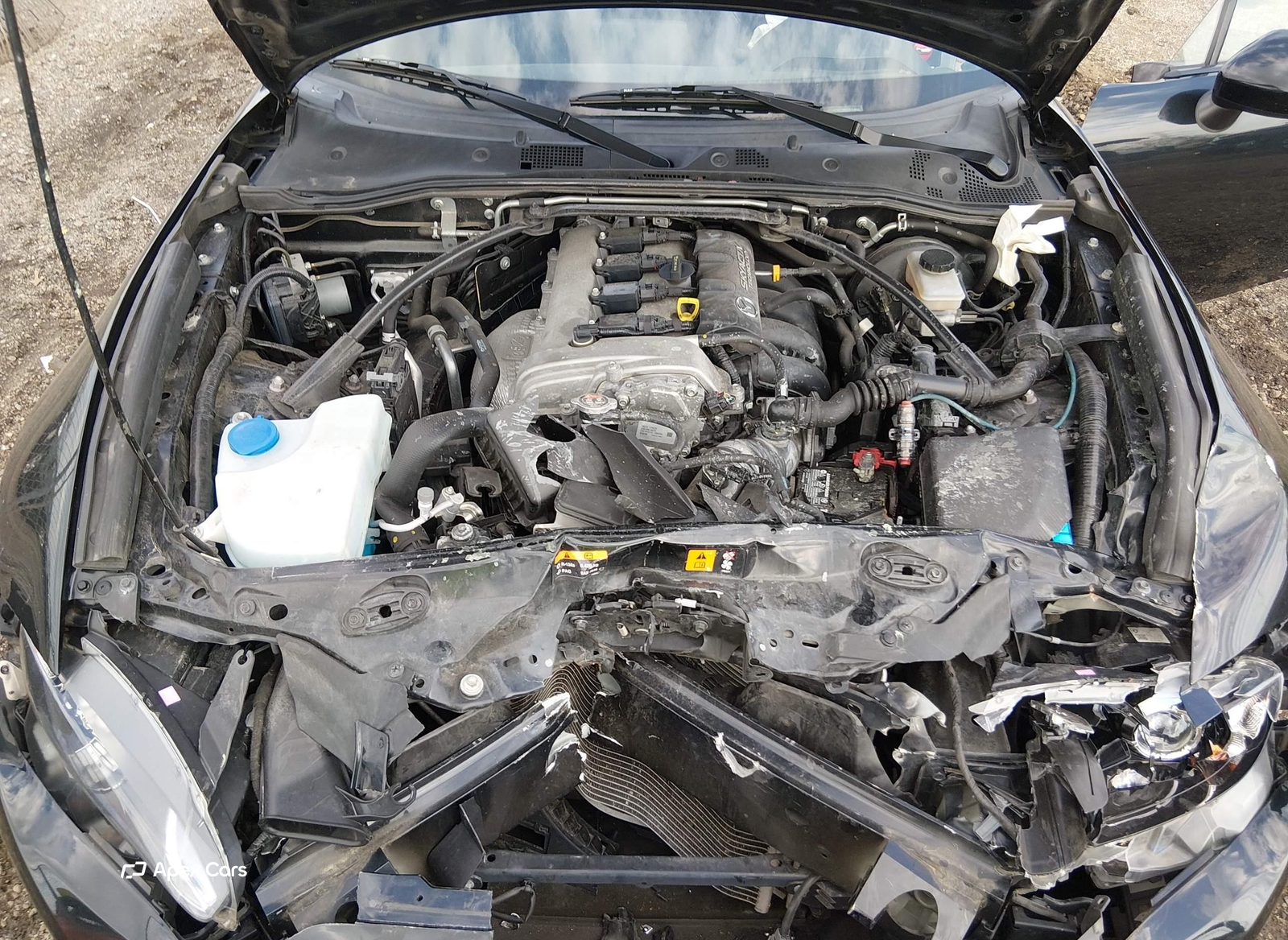 Mazda MX-5 2019