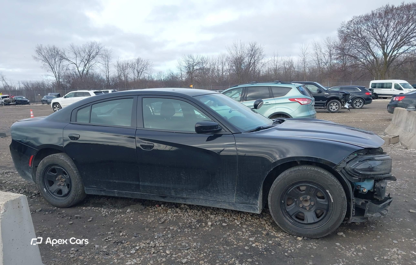 Dodge Charger 2019