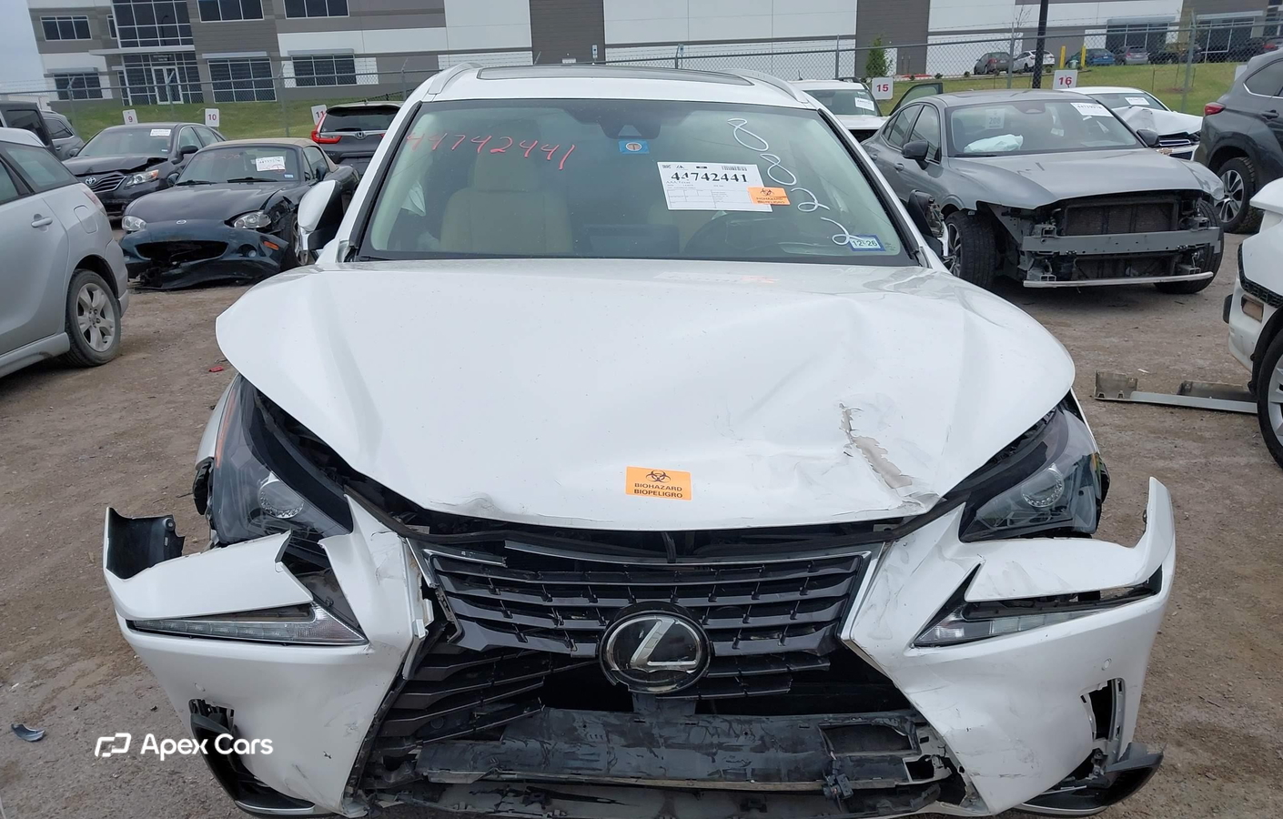 Lexus NX 2020