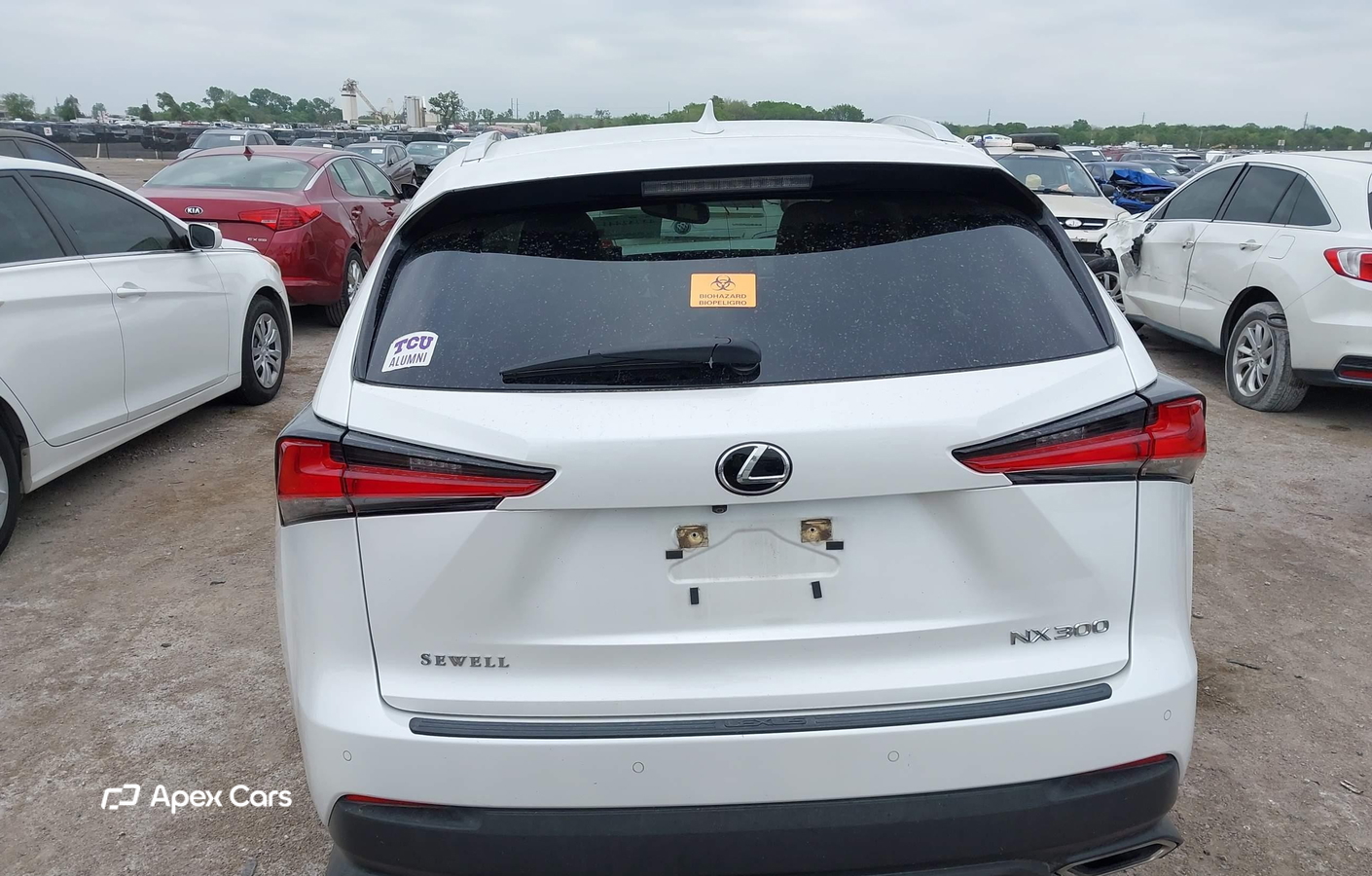 Lexus NX 2020