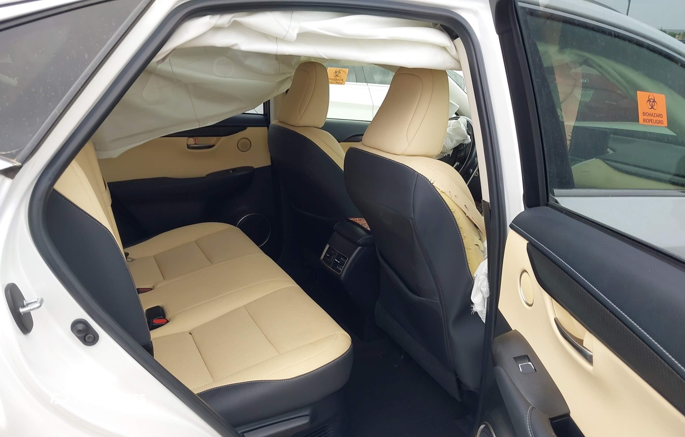 Lexus NX 2020