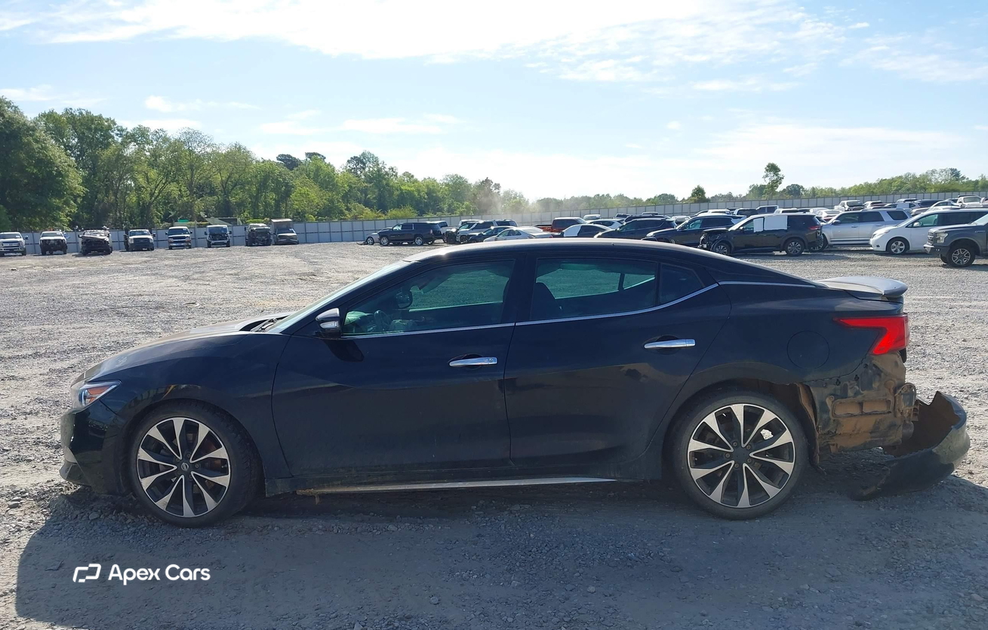 Nissan Maxima 2016