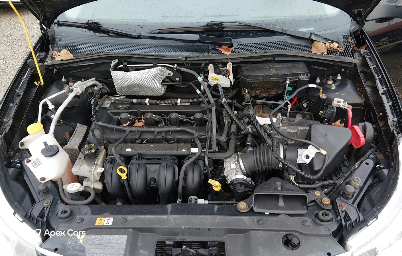 Ford Focus 2011