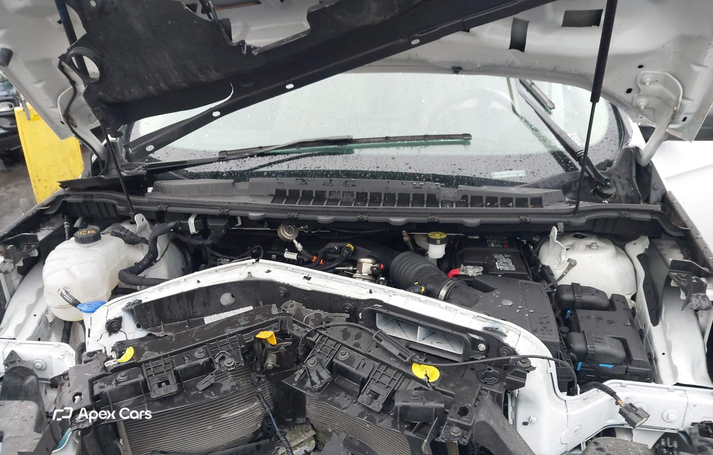 Ford Edge 2024
