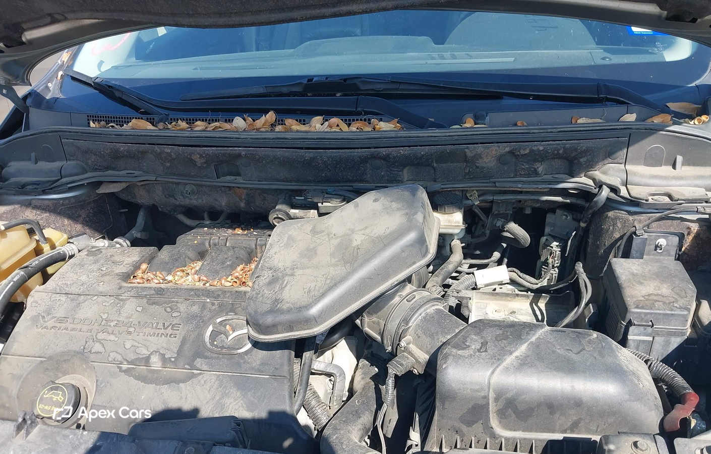 Mazda CX-9 2012