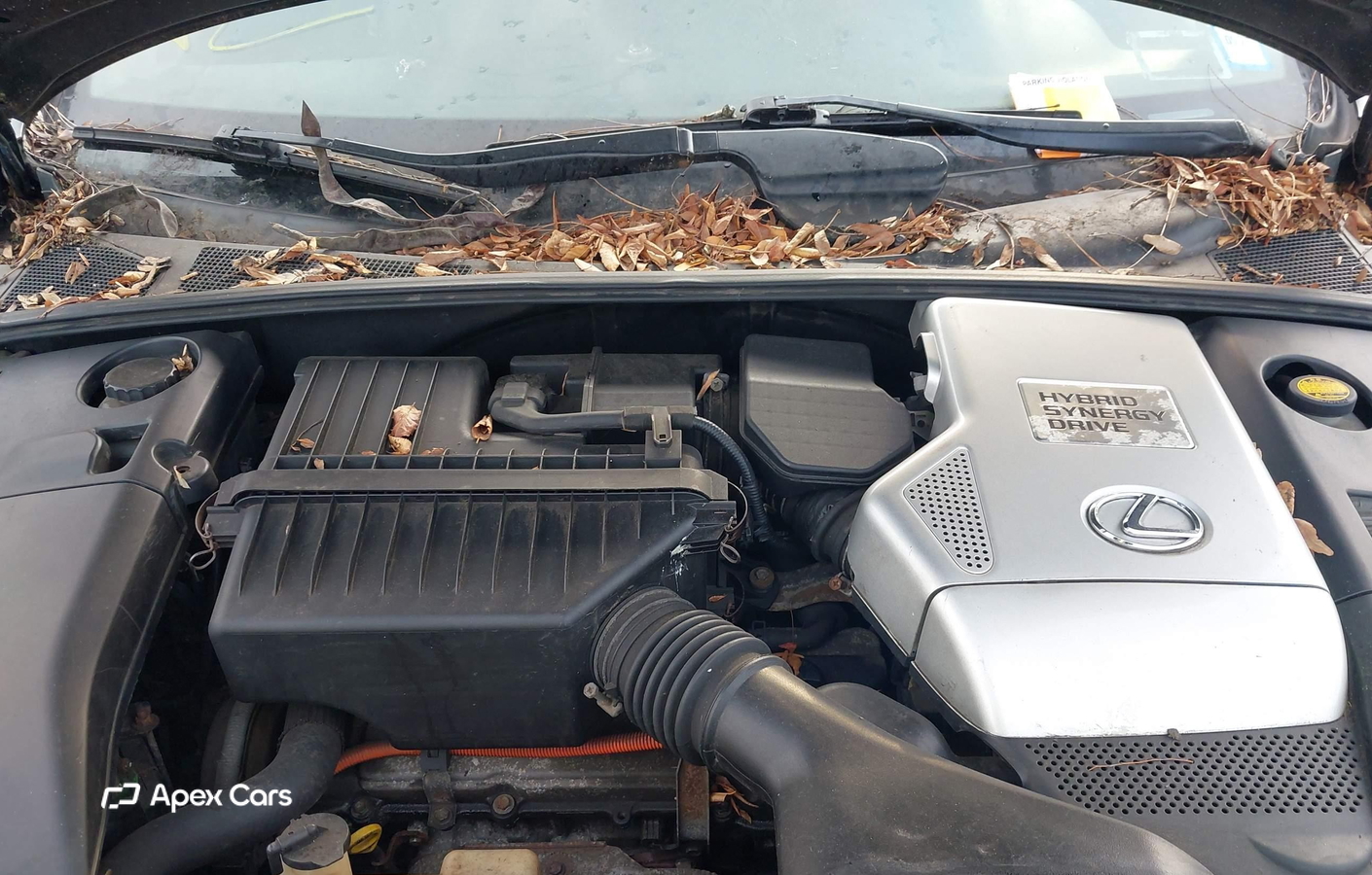 Lexus RX 2006